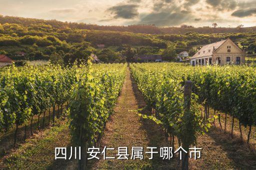 安仁镇有什么农业什么村