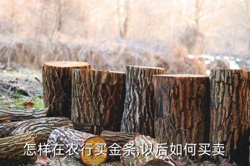 银行怎么买黄金农业,银行APP怎么买黄金