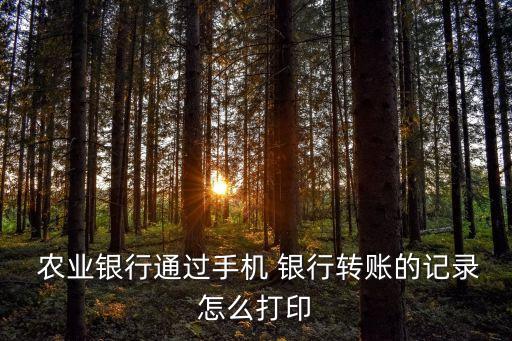  农业银行通过手机 银行转账的记录怎么打印