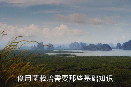 菌棒生产怎么不算农业