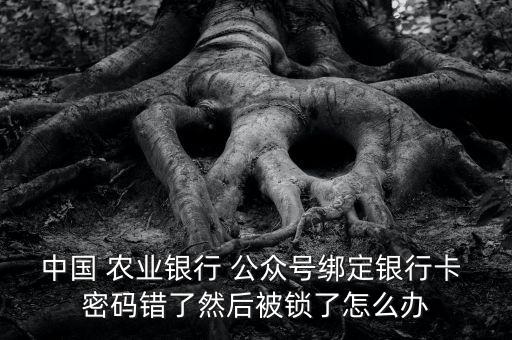 农业公众号怎么设置密码