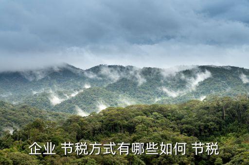 成立农业公司节税怎么算,成立个独公司节税