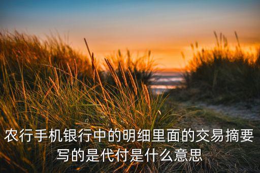 农业银行代付款怎么查