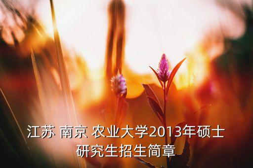 南京农业大学怎么调剂