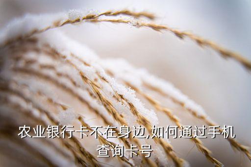农业银行手机号怎么查