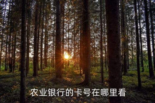 农业银行卡号怎么搜索不到,怎么知道农业银行卡号