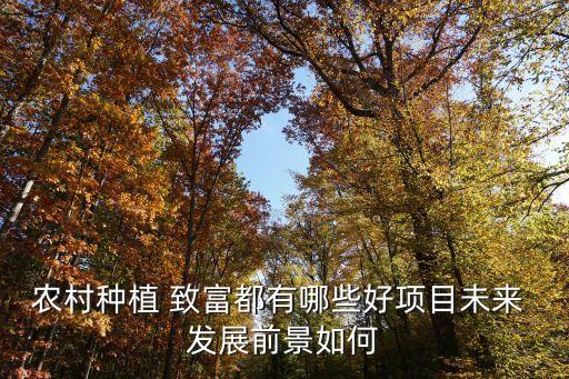 发展什么农业致富,目前发展什么农业项目合适