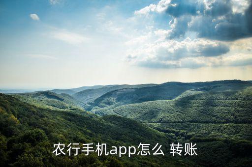农业银行怎么向转账链接,为什么农业银行转账转不了