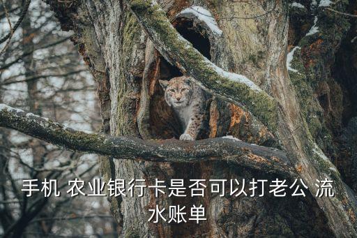 农业流水单怎么打印,农业银行卡流水不是本人可以打印吗