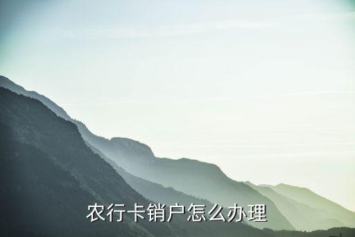 怎么把农业银行卡