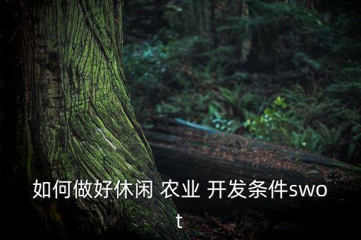 如何做好休闲 农业 开发条件swot