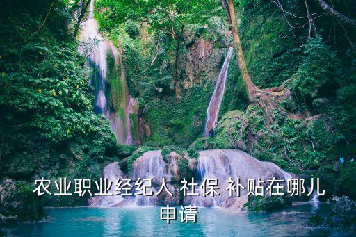 社保卡农业补贴怎么领取,城镇社保卡能领农业补贴款吗现在