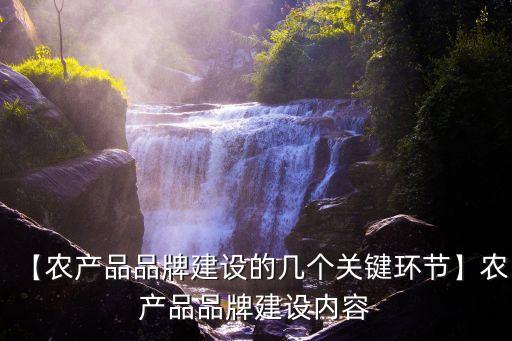 农业品牌怎么定位出来的
