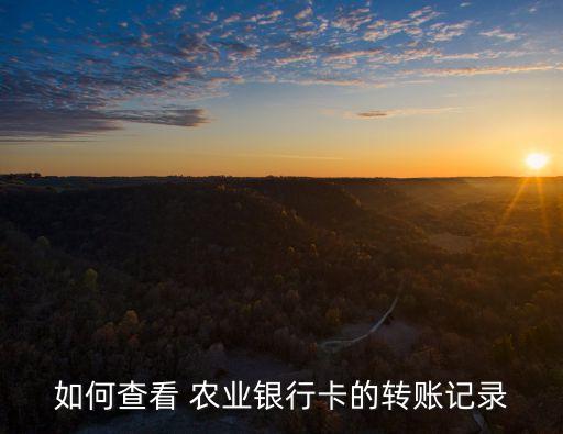 农业银行历史汇款怎么查询