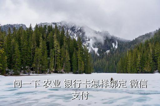 农业手机银行怎么充值微信,怎么下载农业手机银行