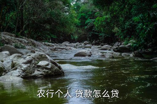 农行个人 贷款怎么贷