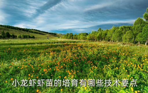 农业养殖小龙虾怎么养的