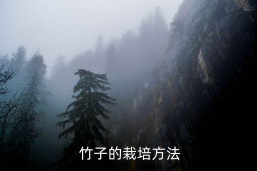 农业天地竹子怎么种的