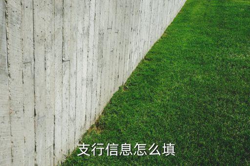 农业银行支行地址怎么填写,上海农业银行各支行地址