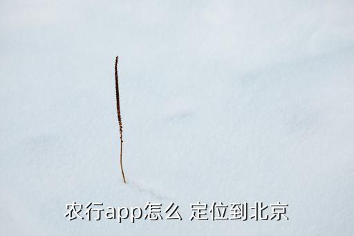 农业银行一个定位是什么,我周边农业银行定位查询