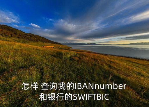 怎么查询农业银行的swift