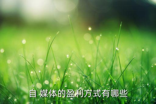 农业自媒体怎么写文案赚钱,赚钱的平台的文案怎么写