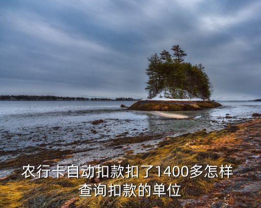 农业银行扣钱记录怎么查询