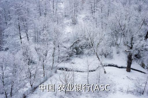 农业银行预约图片怎么修改