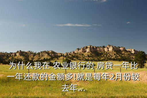 农业银行房贷怎么变多了
