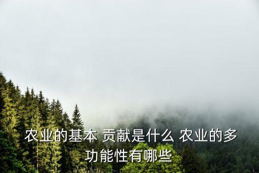 农业对经济的贡献怎么算