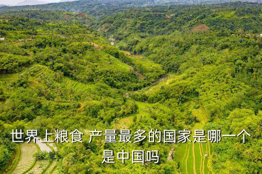 国外农业产量怎么样