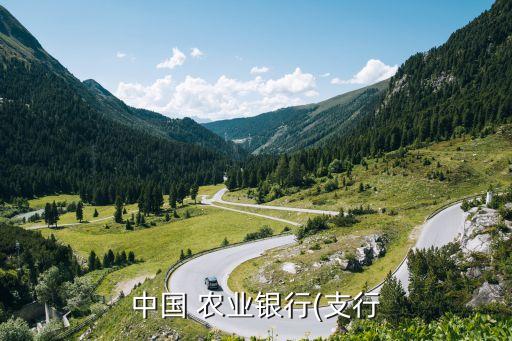 农业银行部开是什么