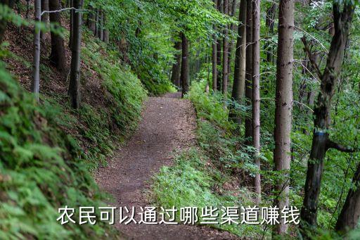 农业怎么才能赚到钱,怎么才能快速的赚到钱
