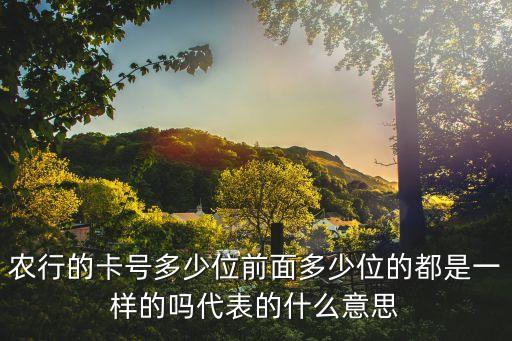 农业银行卡号前十位是什么,无效卡号是什么意思农业银行