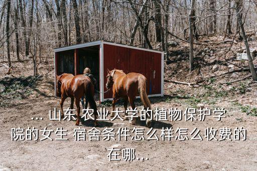 山东农业学校宿舍怎么分配