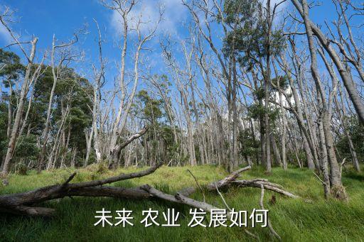 中国农业今后怎么发展的