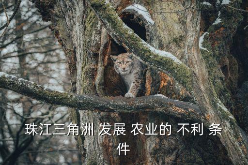农业发展的不利条件是什么,东北三省农业发展不利条件是什么
