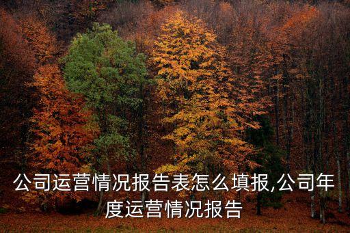 农业公司运营情况报告表怎么填报,公司年度运营情况报告