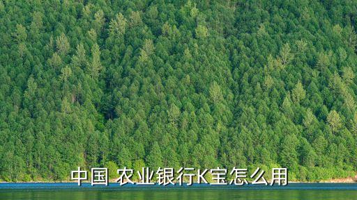 农业银行k宝怎么用 密码,忘记农业银行k宝密码
