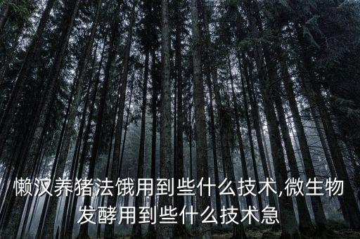 北京农业大学丁教授怎么样,牛文彪北京农业大学教授