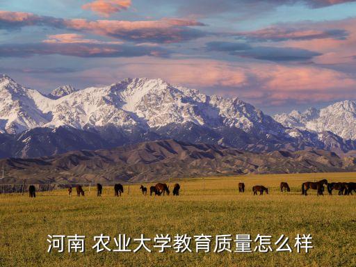 河南农业大学怎么样去黑头