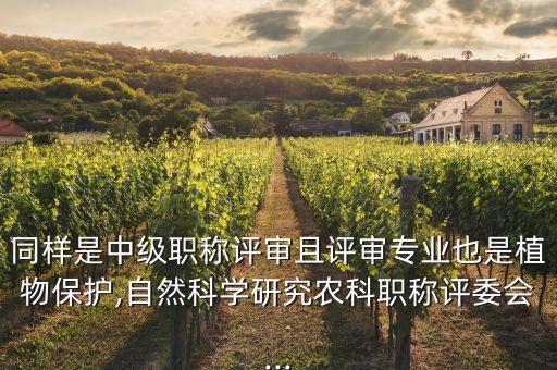 同样是中级职称评审且评审专业也是植物保护,自然科学研究农科职称评委会...
