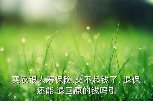 农业银行退保金怎么退回