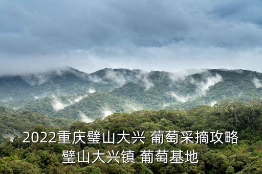 农业公司怎么吃葡萄