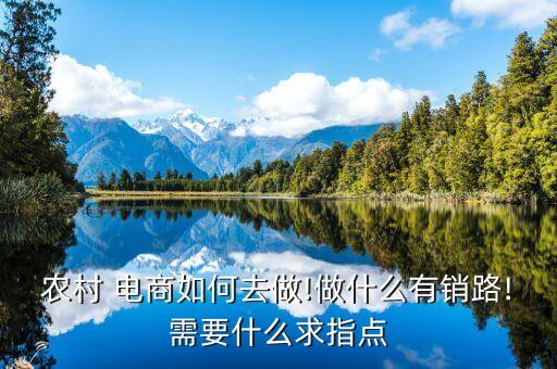 农业电商怎么经营得好点,电商经营网址怎么填