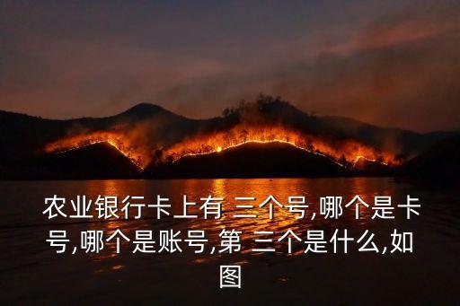 农业银行怎么三个账户