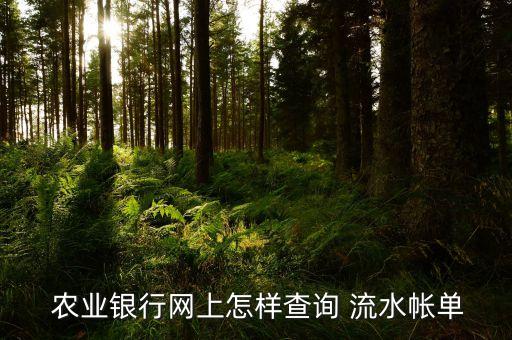  农业银行网上怎样查询 流水帐单