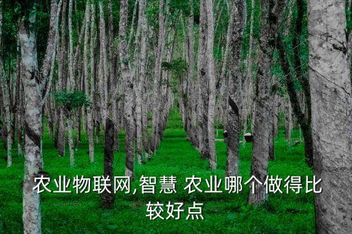 农业智大地服务平台怎么样