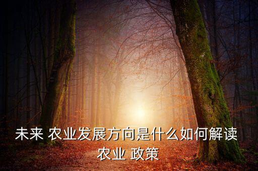 怎么响应国家农业政策