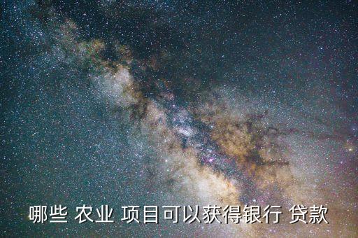 农业项目怎么贷款